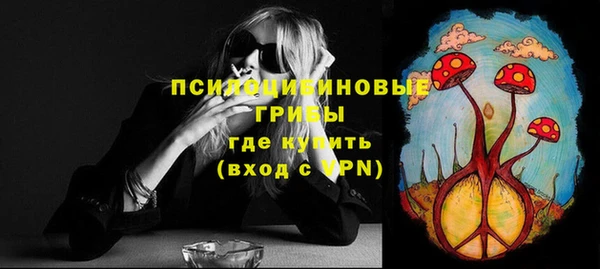 дмт Ельня