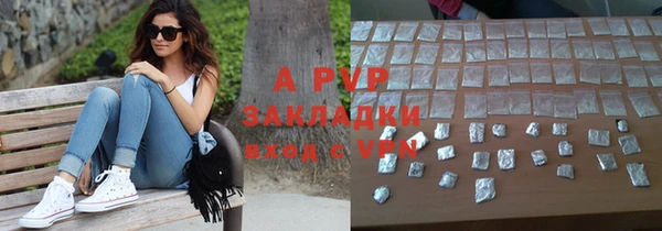 дмт Ельня