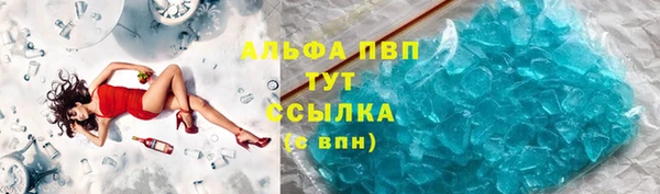 дмт Ельня