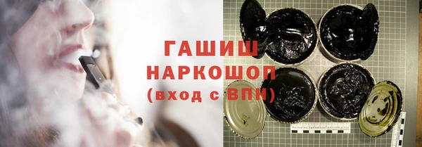 дмт Ельня