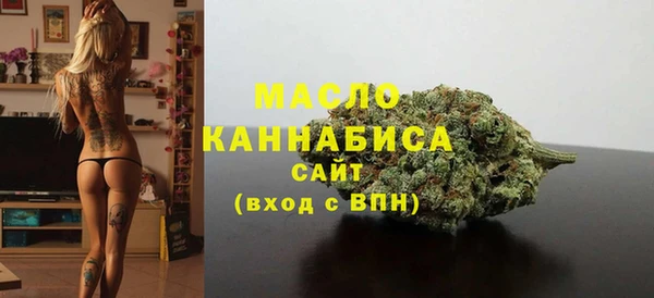 дмт Ельня