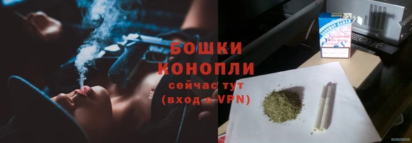 дмт Ельня