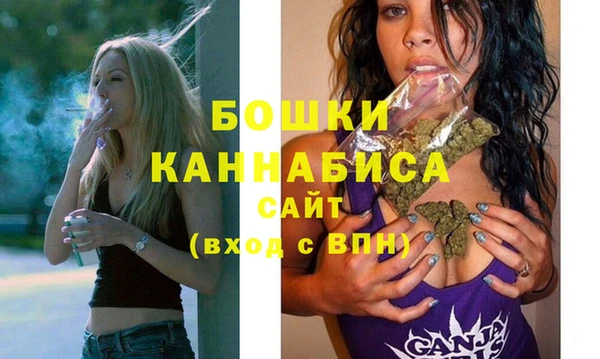 дмт Ельня