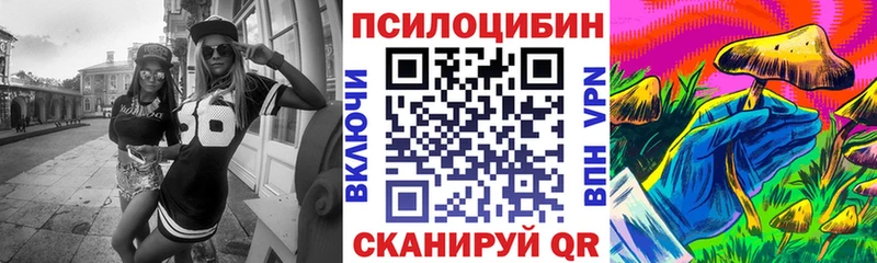 Псилоцибиновые грибы мицелий mega ссылки Калачинск